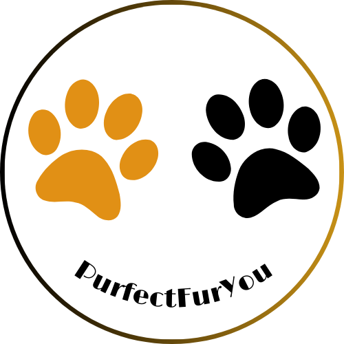 PurfectFurYou
