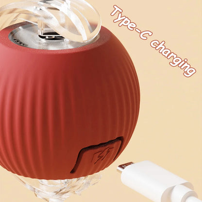 Interactive Rolling Ball Toy For Cat