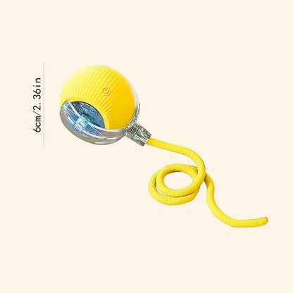 Smart Dog Toy Ball