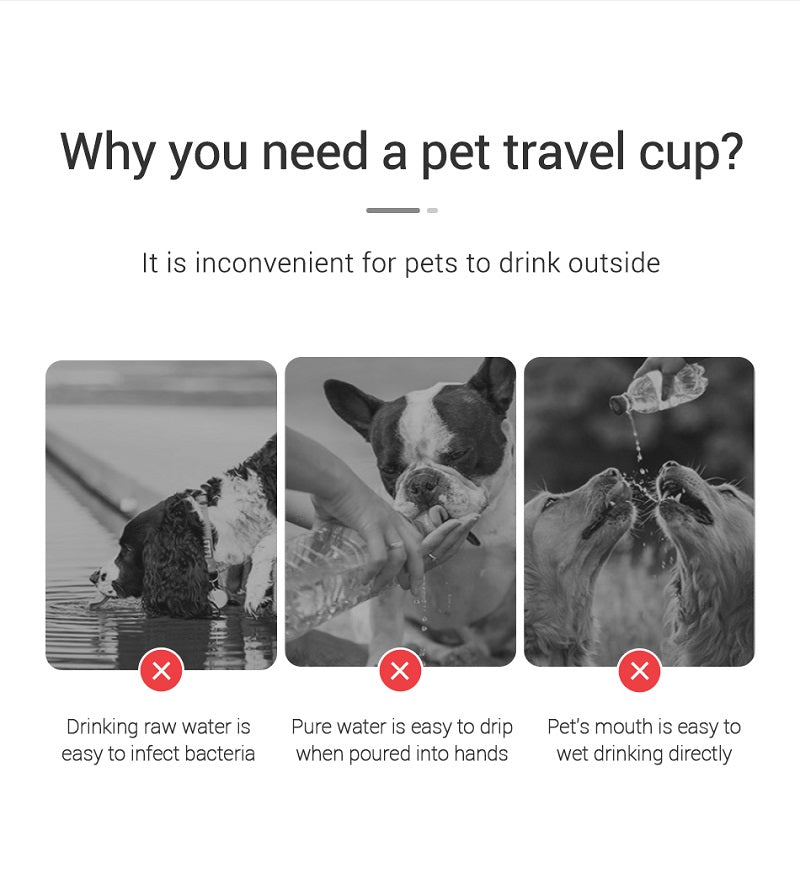 Portable Water Bottle
