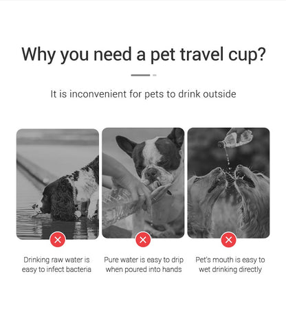 Portable Water Bottle