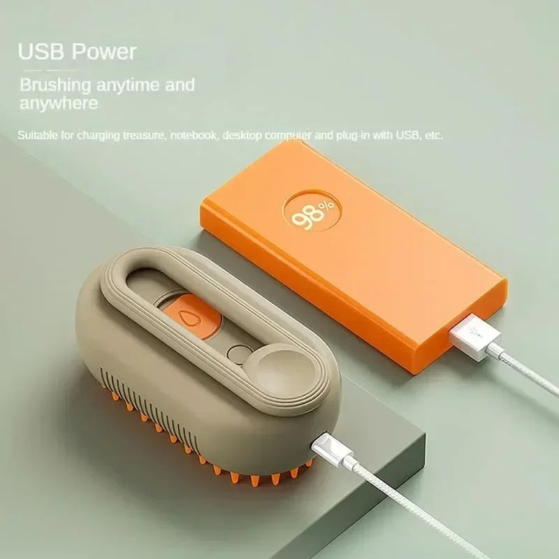 Steamy Brush Electric