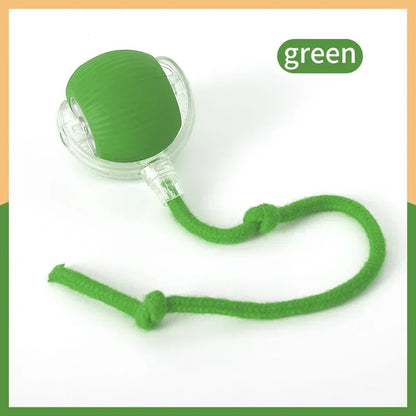 Interactive Rolling Ball Toy For Cat
