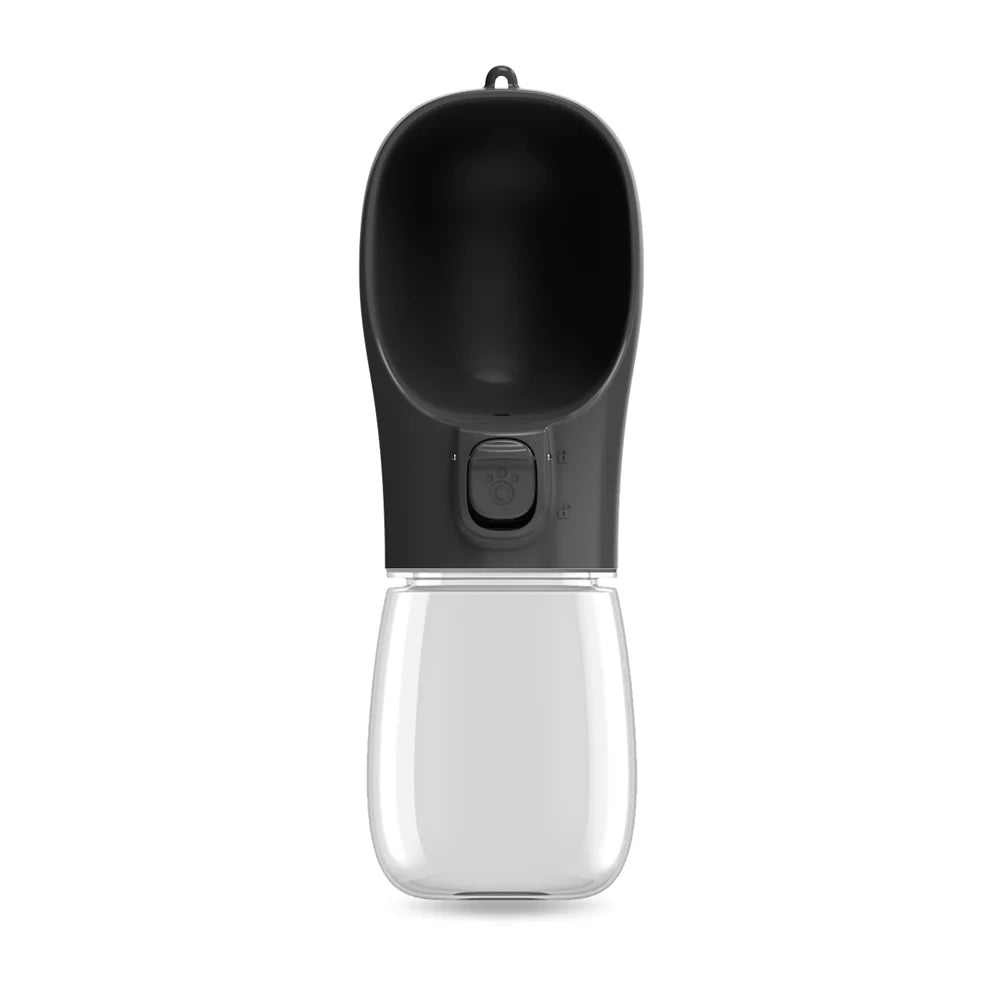 Portable Water Bottle