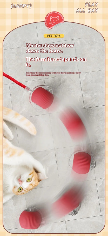 Interactive Rolling Ball Toy For Cat