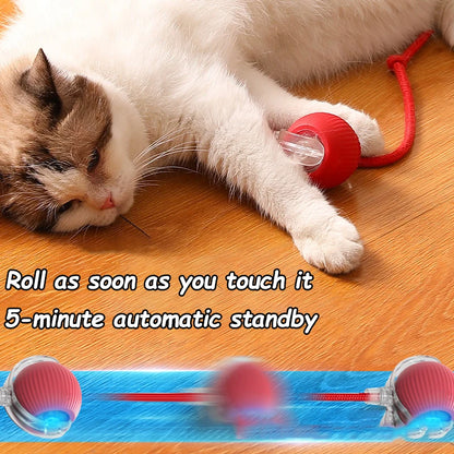 Interactive Rolling Ball Toy For Cat