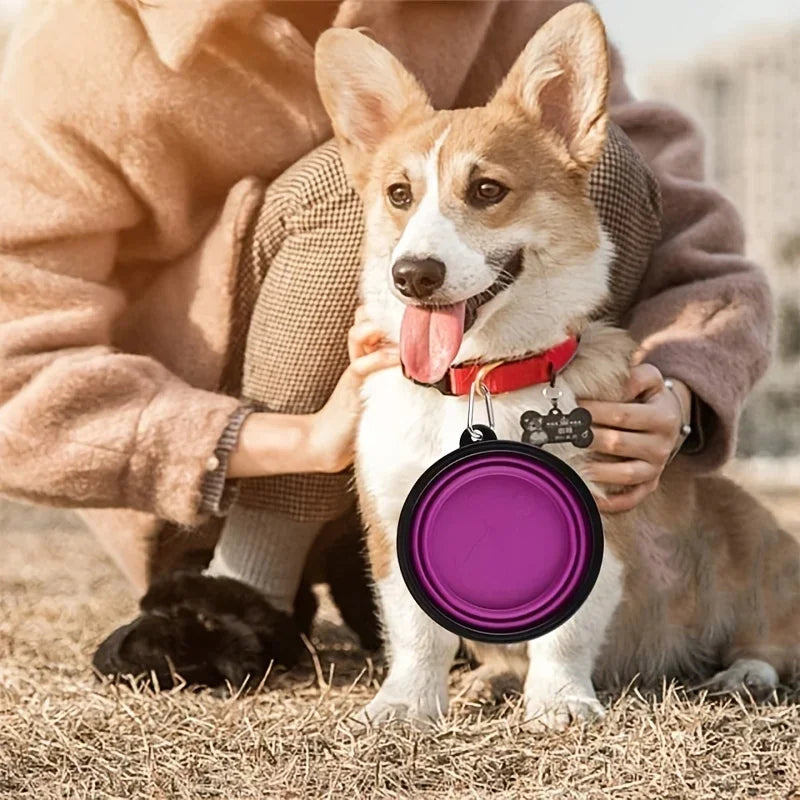 Portable Folding Bowl