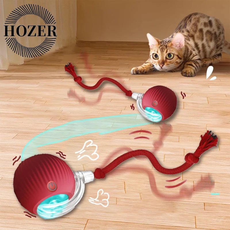 Interactive Rolling Ball Toy For Cat