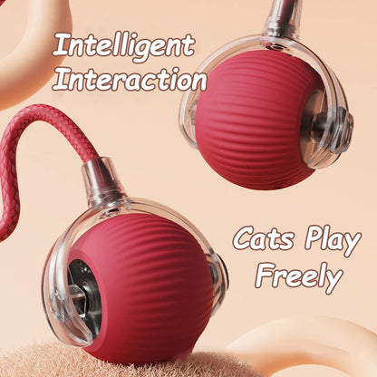 Interactive Rolling Ball Toy For Cat