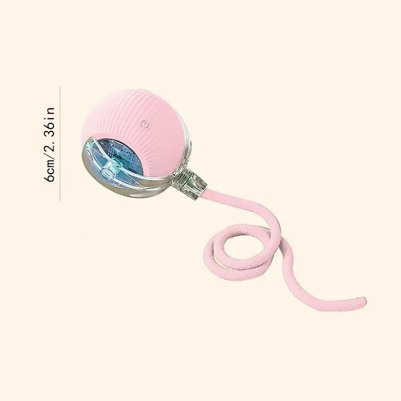 Smart Dog Toy Ball