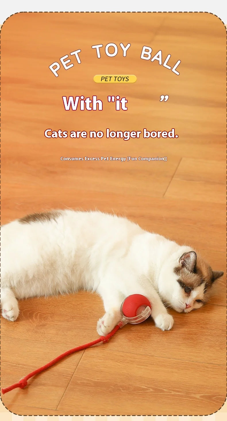 Interactive Rolling Ball Toy For Cat