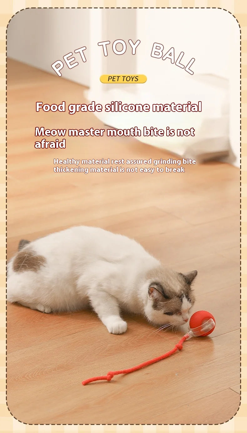 Interactive Rolling Ball Toy For Cat