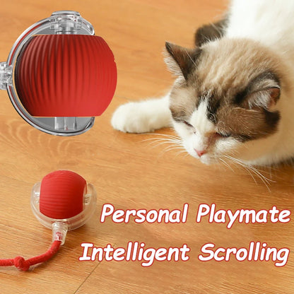 Interactive Rolling Ball Toy For Cat