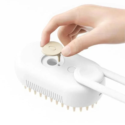 Steamy Brush Electric