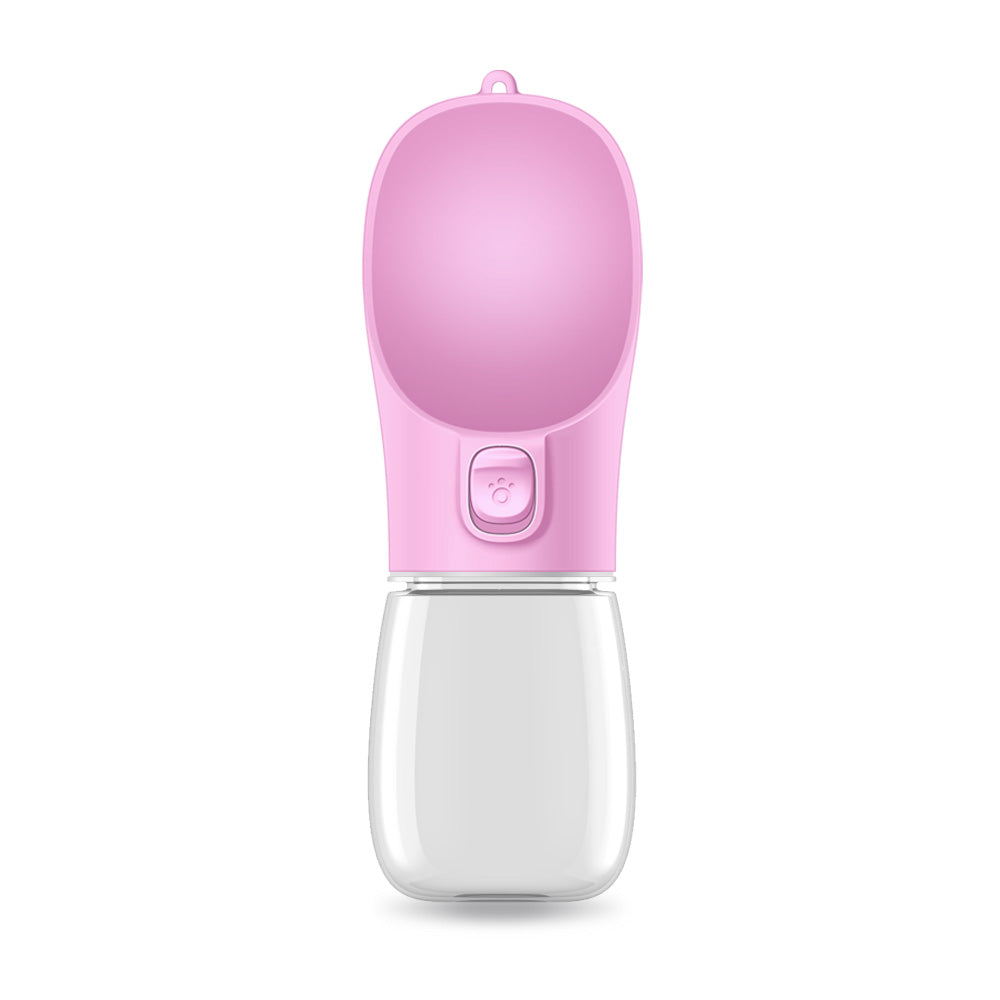 Portable Water Bottle