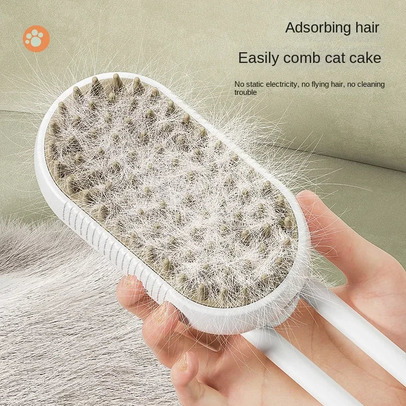 Steamy Brush Electric