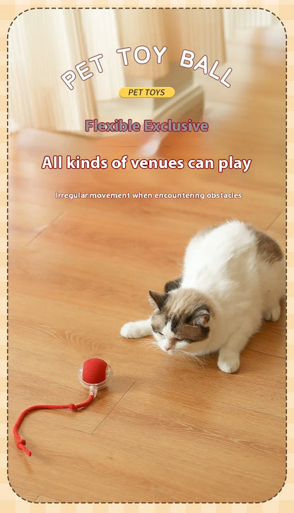 Interactive Rolling Ball Toy For Cat