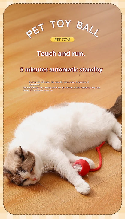 Interactive Rolling Ball Toy For Cat