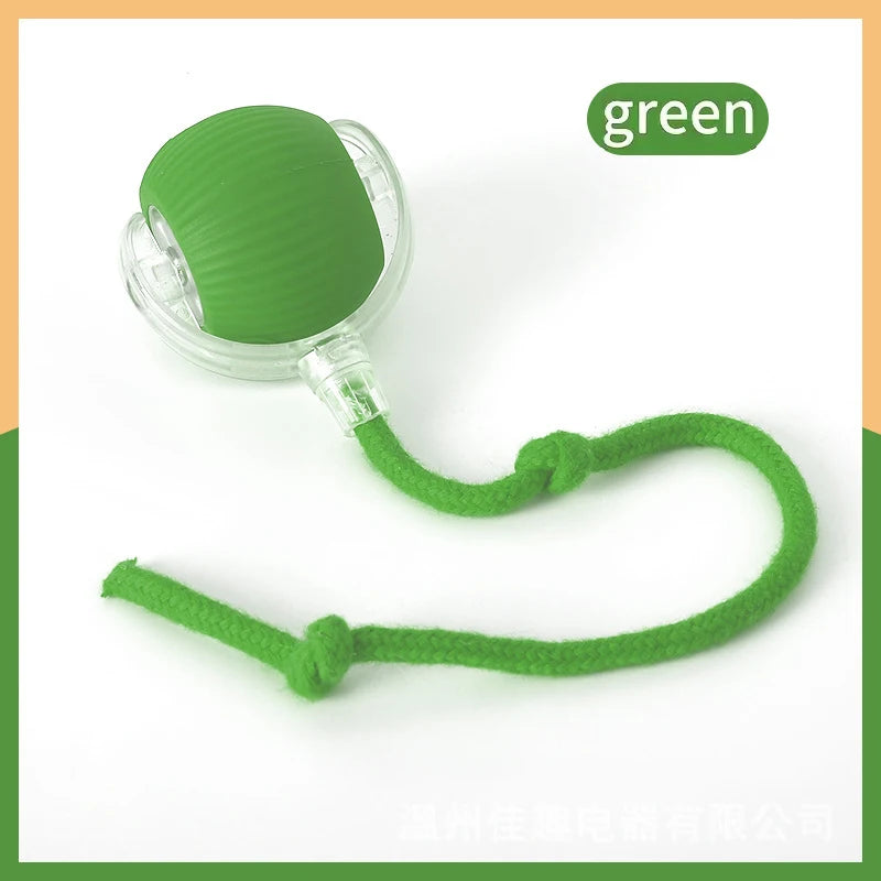 Smart Dog Toy Ball