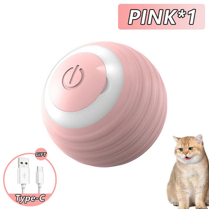 Interactive Rolling Ball Toy For Cat
