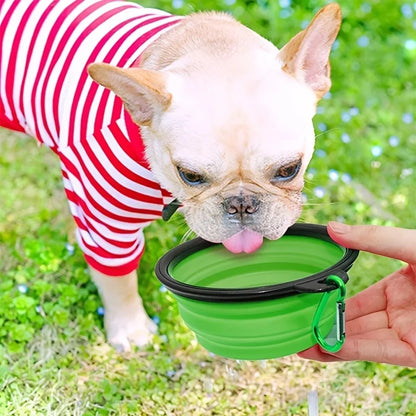 Portable Folding Bowl