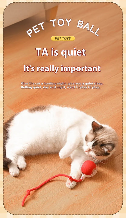 Interactive Rolling Ball Toy For Cat