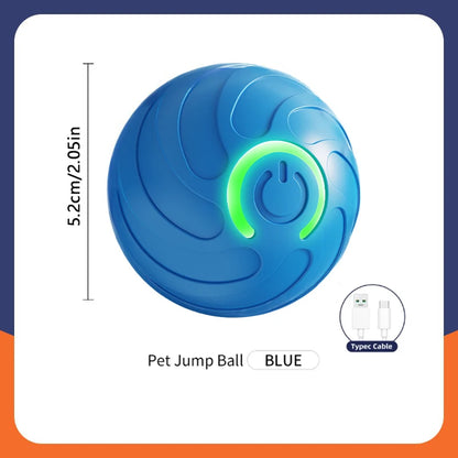 Smart Dog Toy Ball