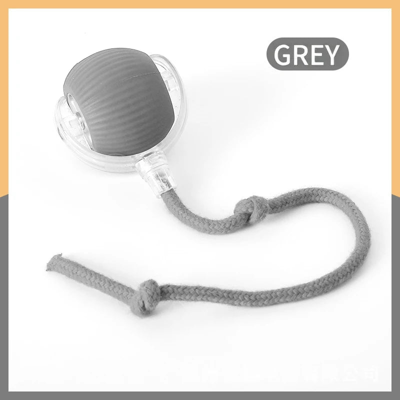 Smart Dog Toy Ball