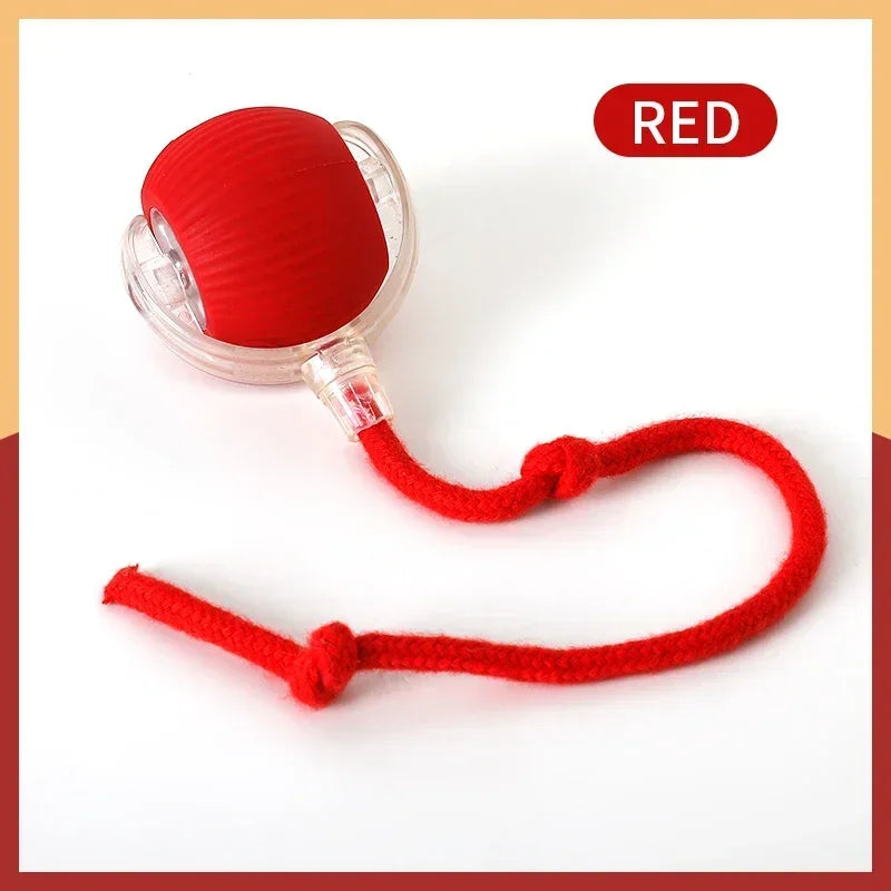 Interactive Rolling Ball Toy For Cat