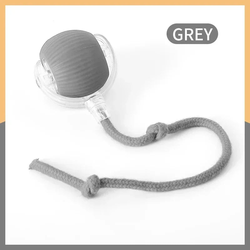 Interactive Rolling Ball Toy For Cat