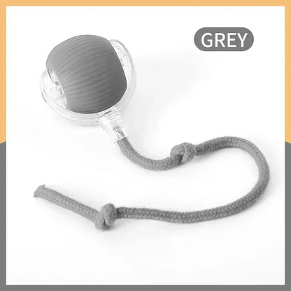Interactive Rolling Ball Toy For Cat