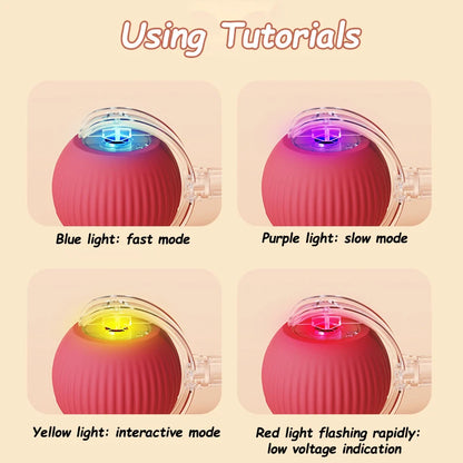 Interactive Rolling Ball Toy For Cat