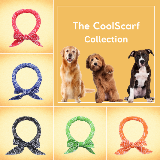 The CoolScarf