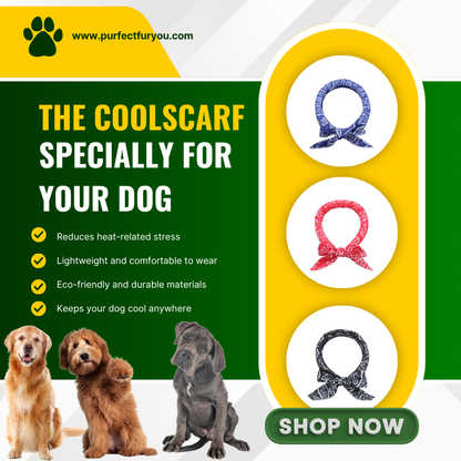 The CoolScarf
