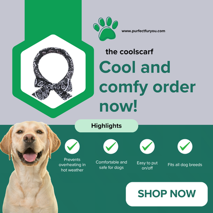 The CoolScarf
