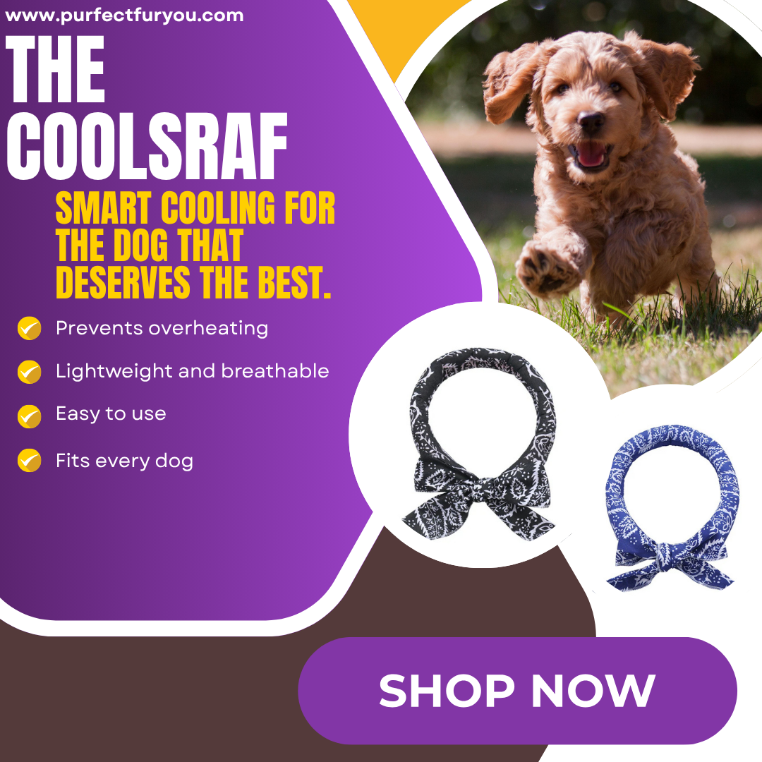 The CoolScarf